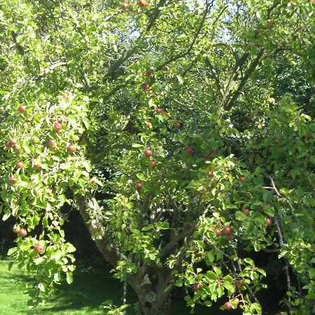 ゲストハウス Manoir Du Petit Saint Pierre オンフルール