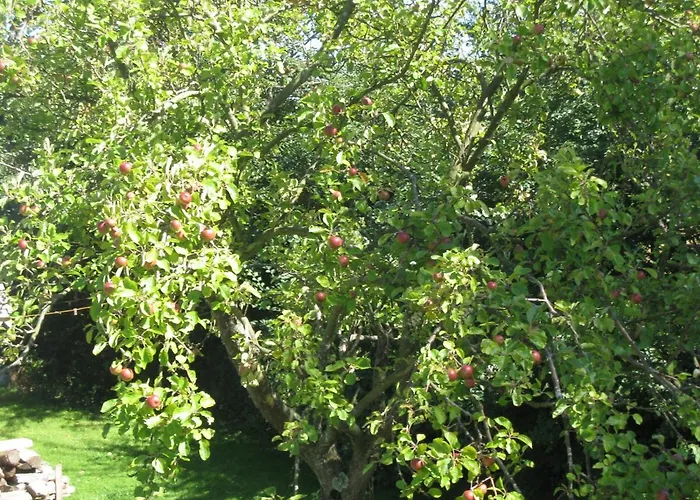 Pensjonat Manoir Du Petit Saint Pierre Honfleur